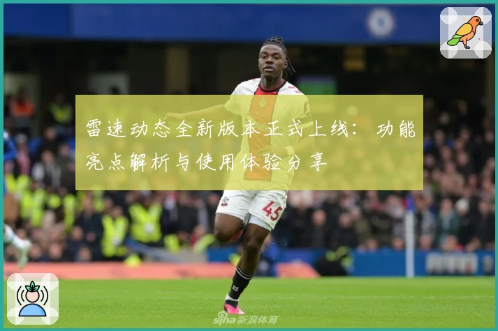 雷速动态全新版本正式上线:功能亮点解析与使用体验分享
