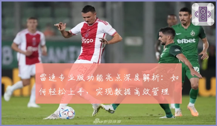 雷速专业版功能亮点深度解析：如何轻松上手，实现数据高效管理